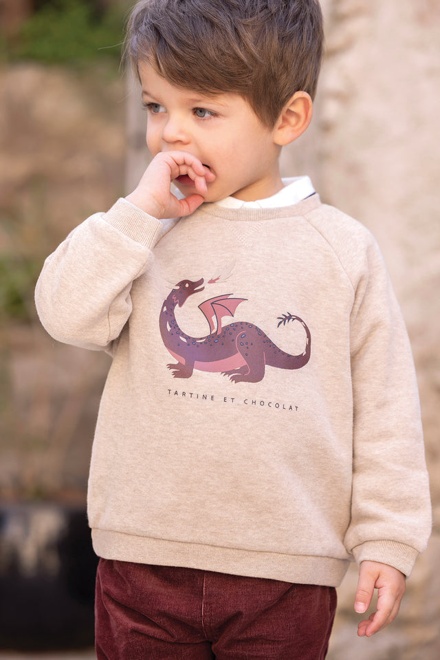Pull - Sable coton imprimé dinosaure - Image principale