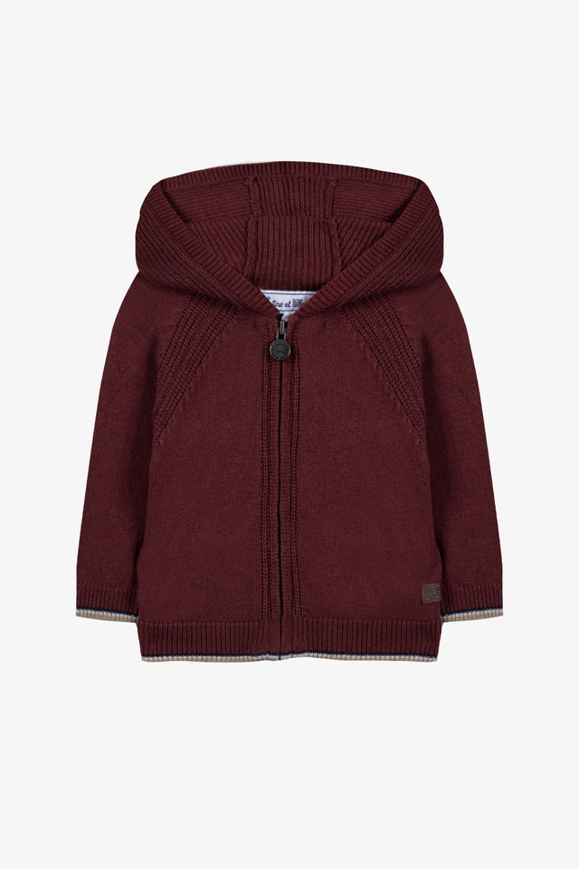 Gilet - Bordeaux Lana a Cappuccio zippato - Image principale