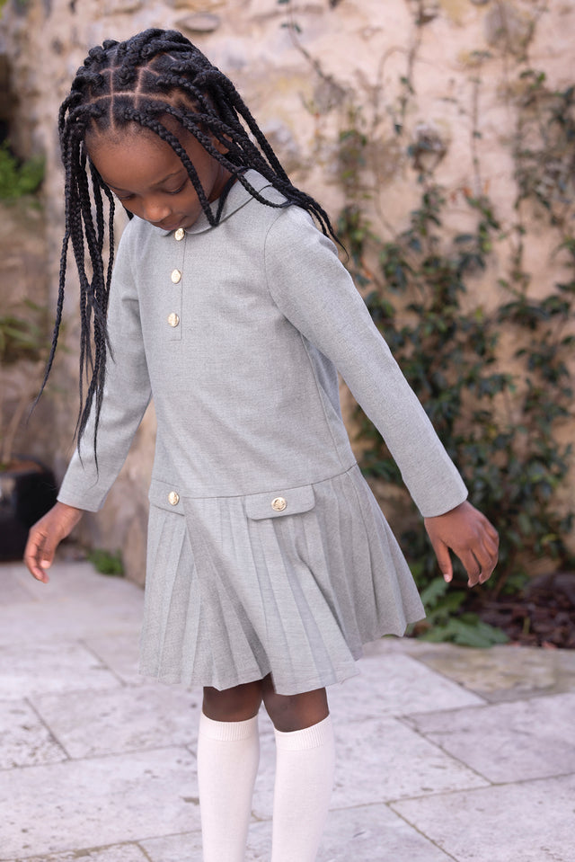 Dress - Grey heather Peter pan collar Pleats dishes - Image principale