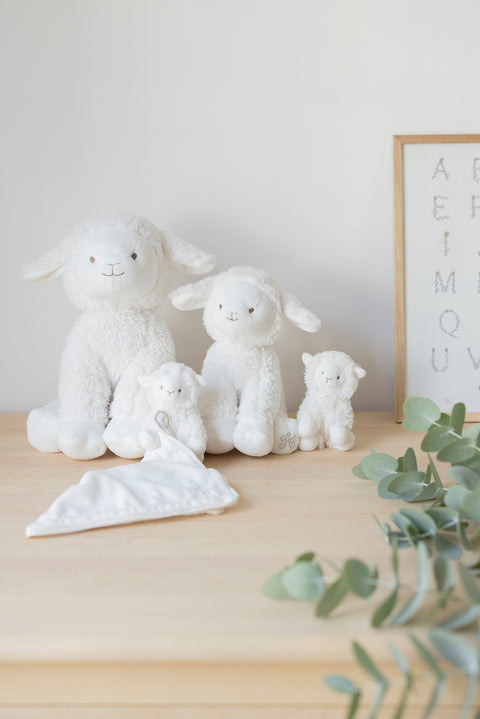 Edmond le mouton - 25 cm écru - Image principale