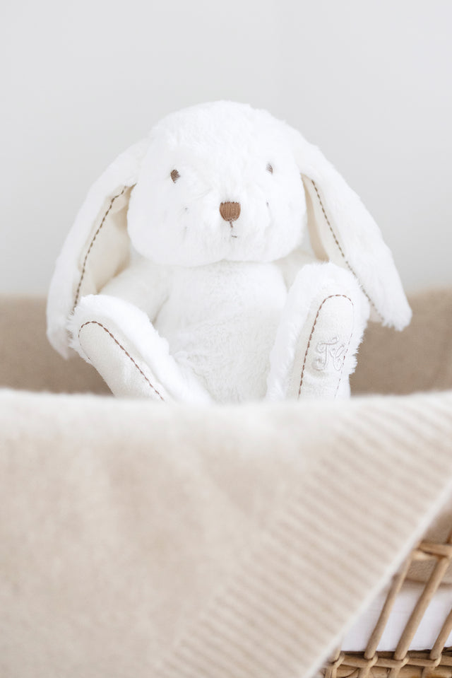 Augustin le lapin - 25 cm écru - Image principale