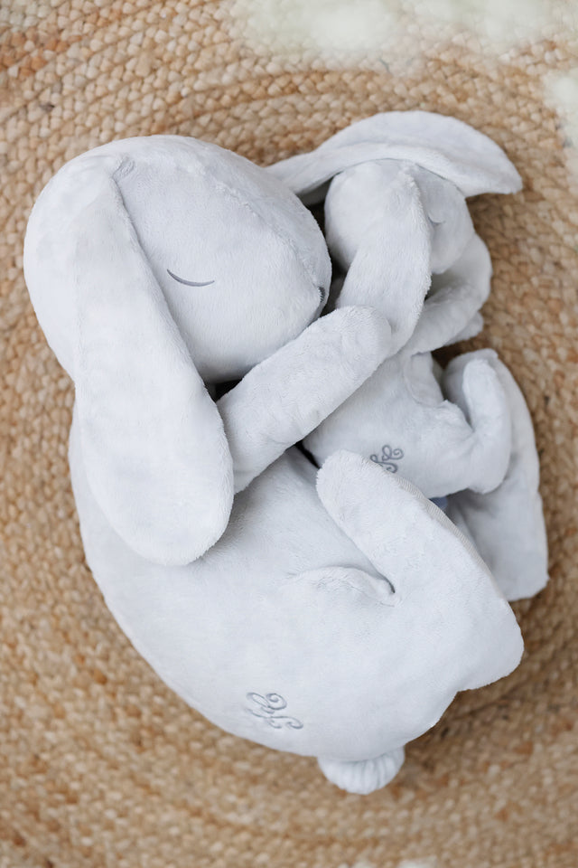 Augustin le Lapin - Dormeur 60 cm - Image principale