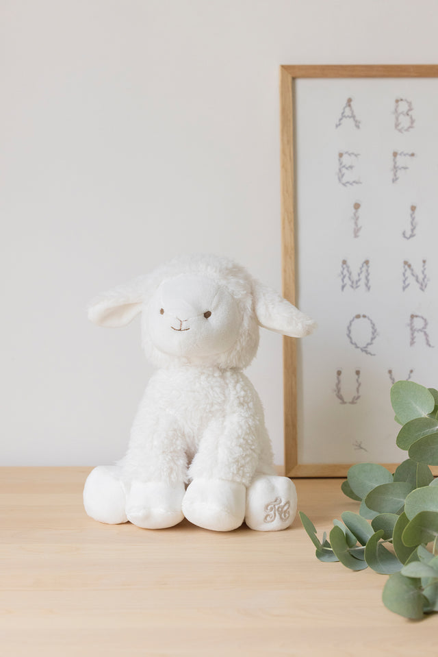 Edmond le mouton - 25 cm écru - Image principale