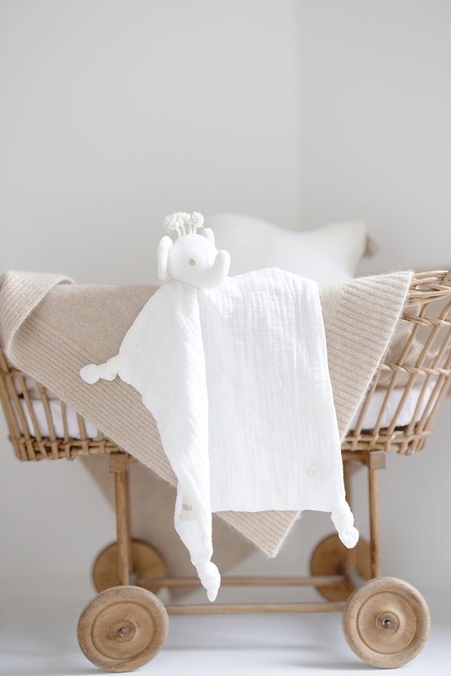 Ferdinand l'éléphant - Doudou coton bio - Image principale