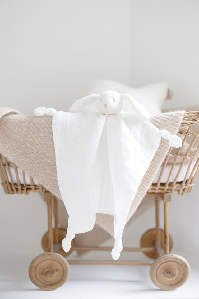 Augustin le lapin - Doudou coton bio - Image principale