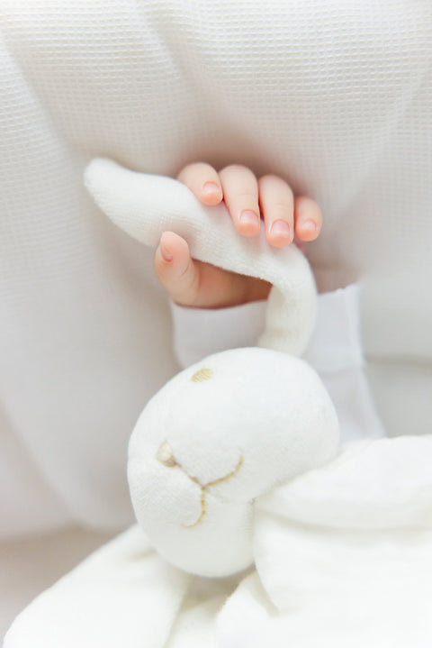 Augustin le lapin - Doudou coton bio - Image principale