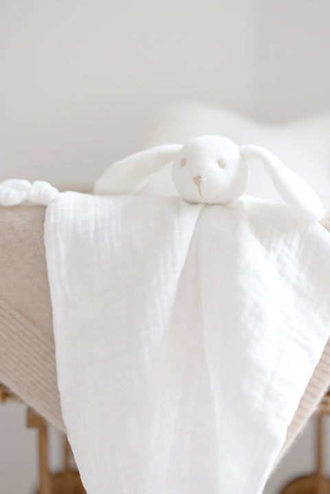 Augustin le lapin - Doudou coton bio - Image principale