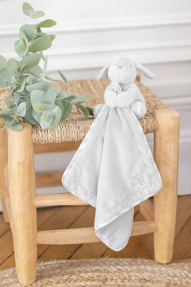 Lucien the dog - Comforter Grey - Image principale