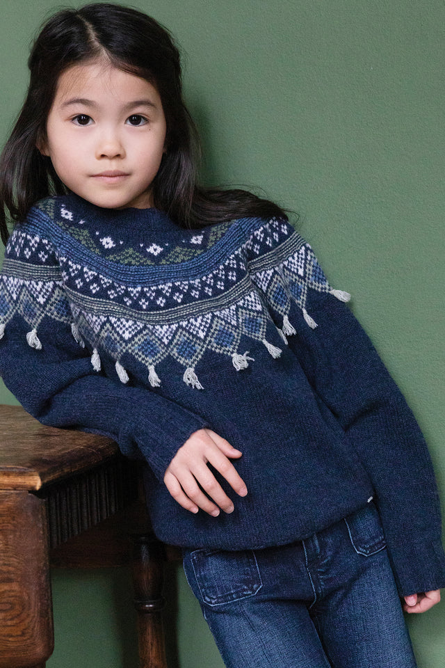 Pull - Marine jacquard - Image principale