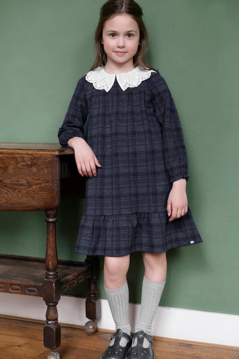Kleid - Grau Peter-Pan-Kragen Lochstickerei - Image principale