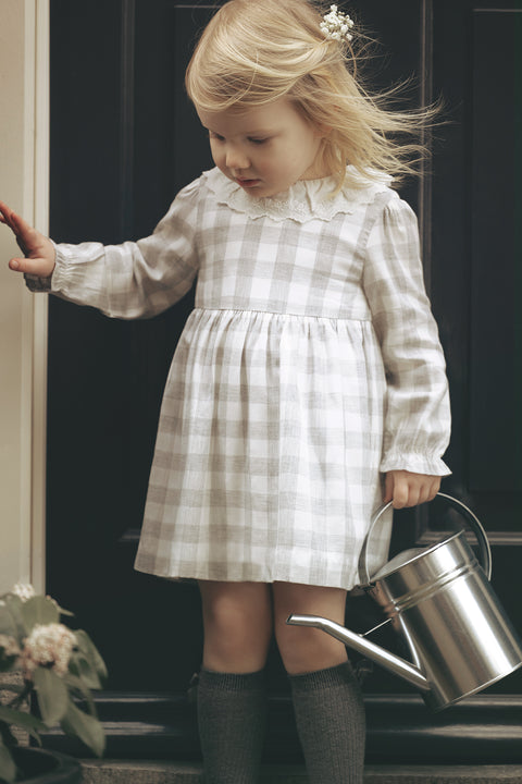 Robe - Gris carreaux col broderie anglaise - Image principale