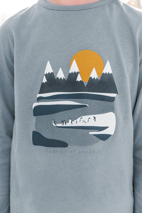 T-shirt - Gris illustration pôle nord - Image principale