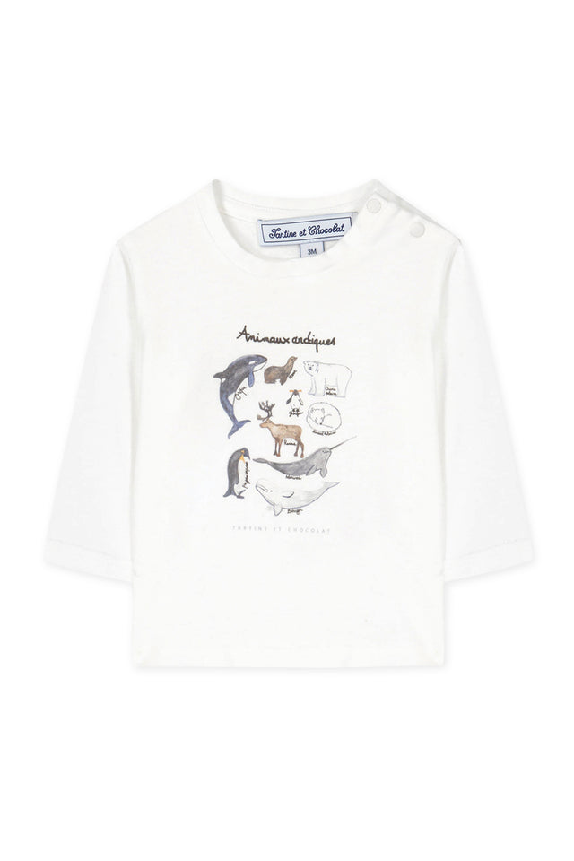 T-Shirt - Illustration Nordpoltiere - Image principale