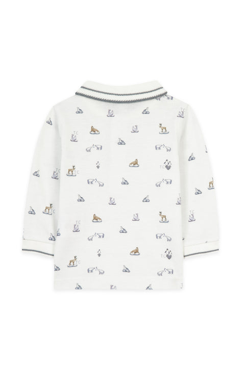 Polo - Explorateur arctique - Image principale