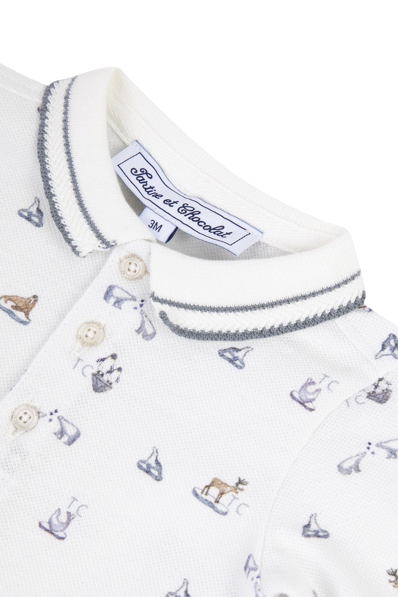 Polo - Arctische ontdekkingsreiziger