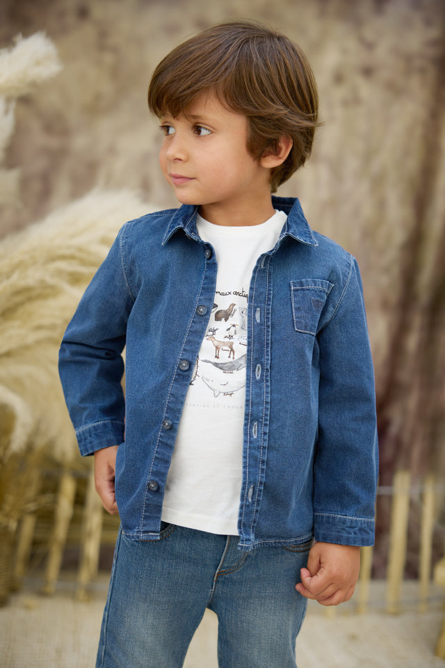 Chemise - Jean bleu grisé - Image principale