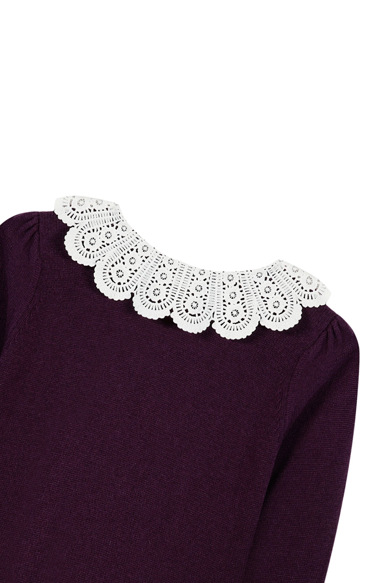Sweater - Purple Collar Race