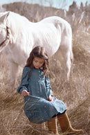 Vestido - Azul cambray Bordado