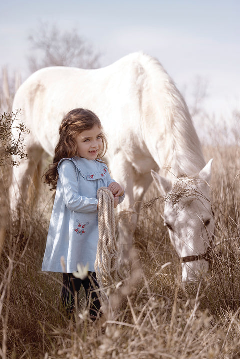 Kleid - Blau Gingham und florale Stickerei - Image principale