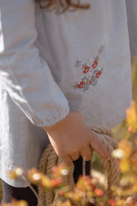 Robe - Bleu vichy et broderie fleurie - Image principale