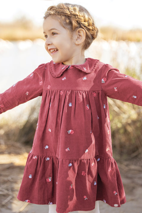 Jurk - Roze Velours peter pan kraag - Image principale