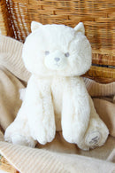 Odilon the kitten - 25 cm ecru