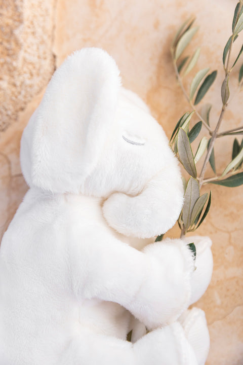 Ferdinand l'éléphant - Dormeur 25 cm - Image principale