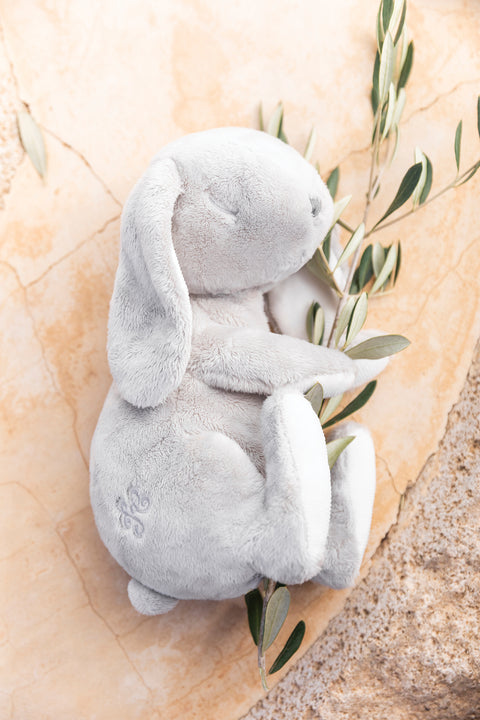 Augustin le Lapin - Dormeur 25 cm - Image principale