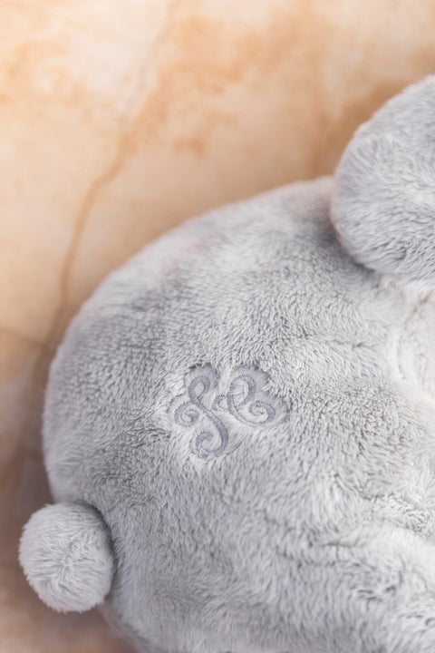 Augustin le Lapin - Dormeur 25 cm - Image principale