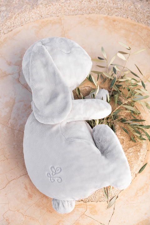 Augustin le Lapin - Dormeur 60 cm - Image principale