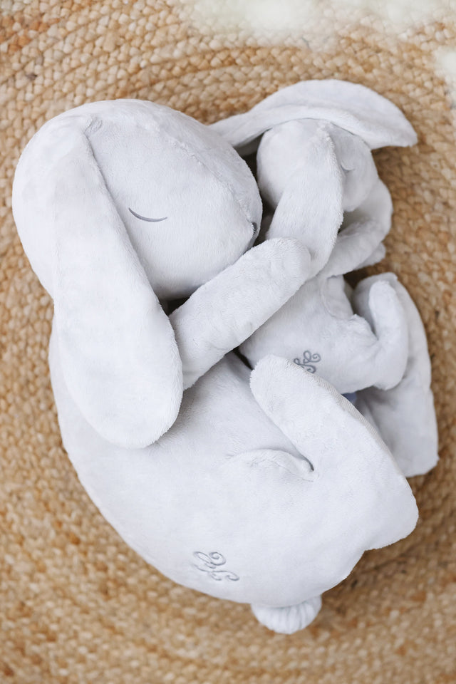 Augustin le Lapin - Dormeur 25 cm - Image principale