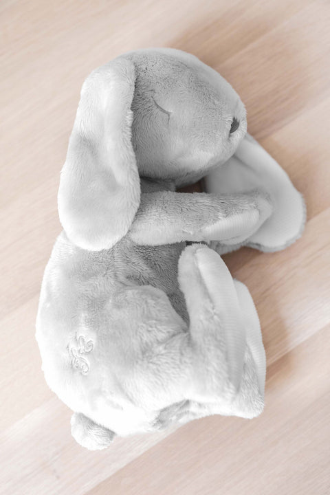 Augustin le Lapin - Dormeur 25 cm - Image principale