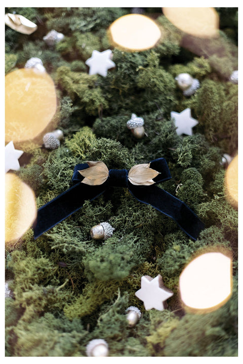 Barrette - Marine Les Couronnes de Victoire x Tartine et Chocolat - Image principale