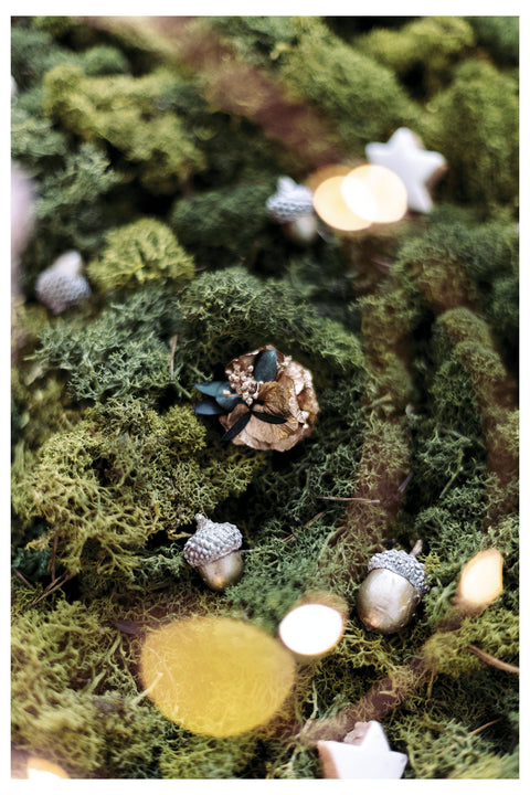 Barrette - Vert Les Couronnes de Victoire x Tartine et Chocolat - Image principale