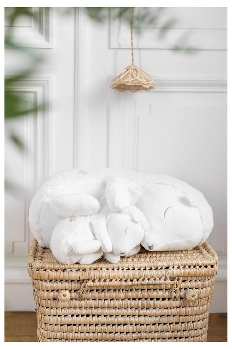 Léon le hérisson - Dormeur 25 cm - Image principale