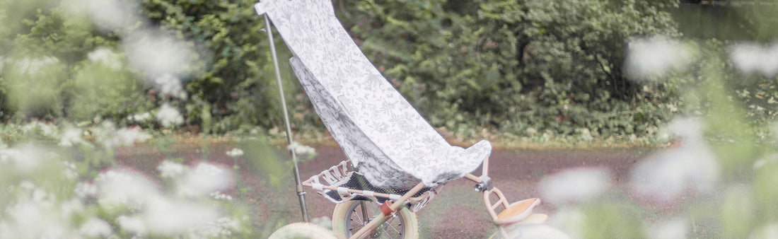 La poussette BabyRide dans la nature
