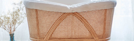 LES PREMIERS MOIS À LA MAISON