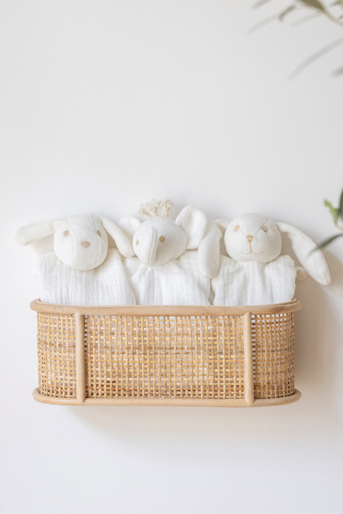 Collection Bio|naissance mixte