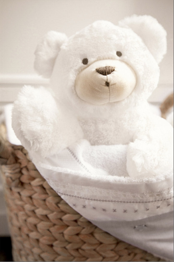 Prosper, l'ours polaire