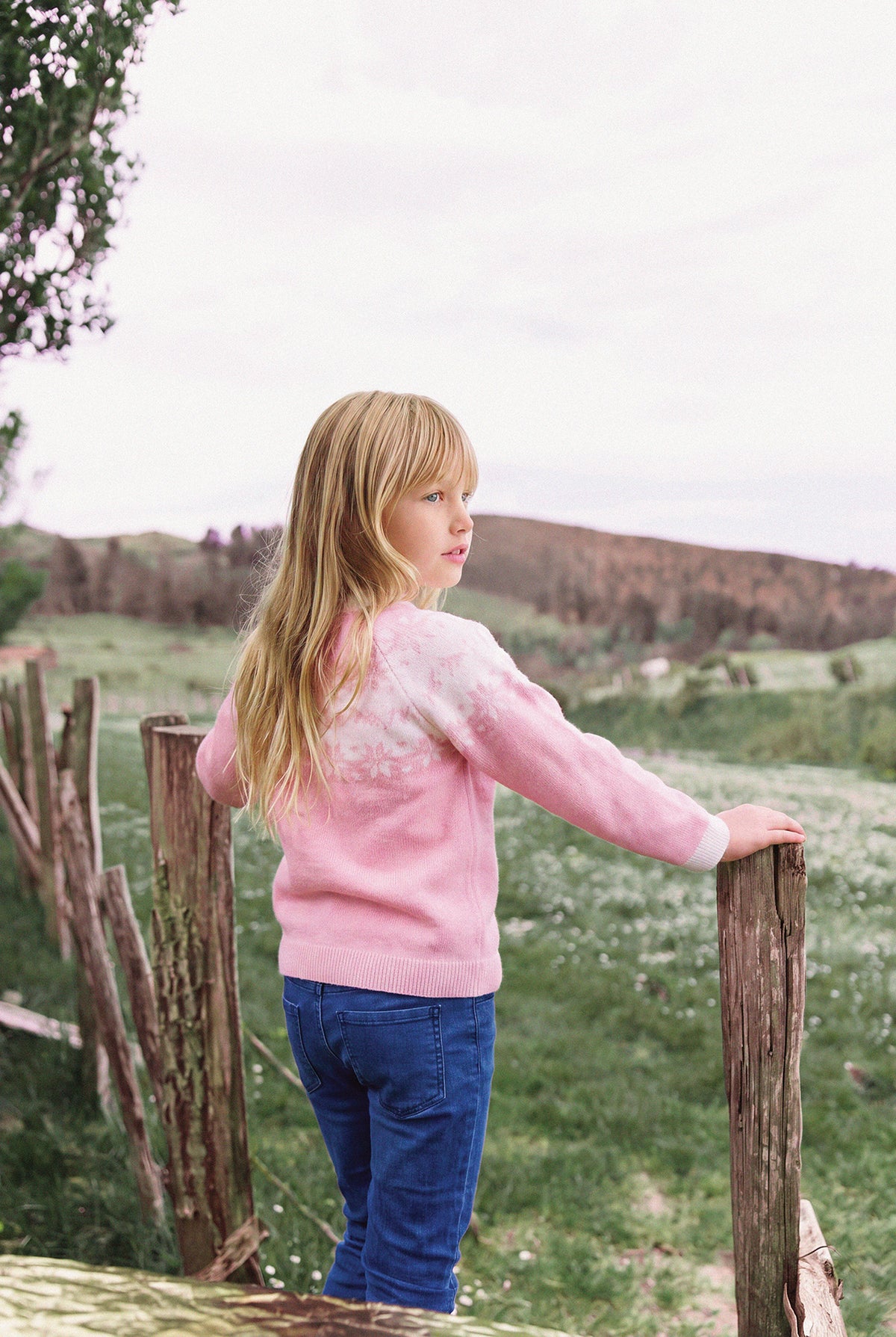Pull - Rose laine jacquard Pyrenex x Tartine et Chocolat