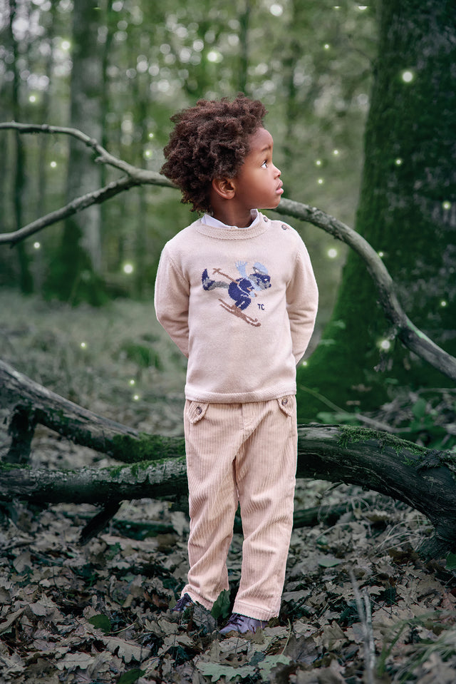 Pull - Beige chiné illustration ratton laveur - Image principale