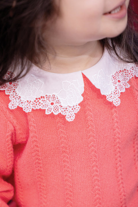 Pull - Praline col broderie anglaise - Image principale