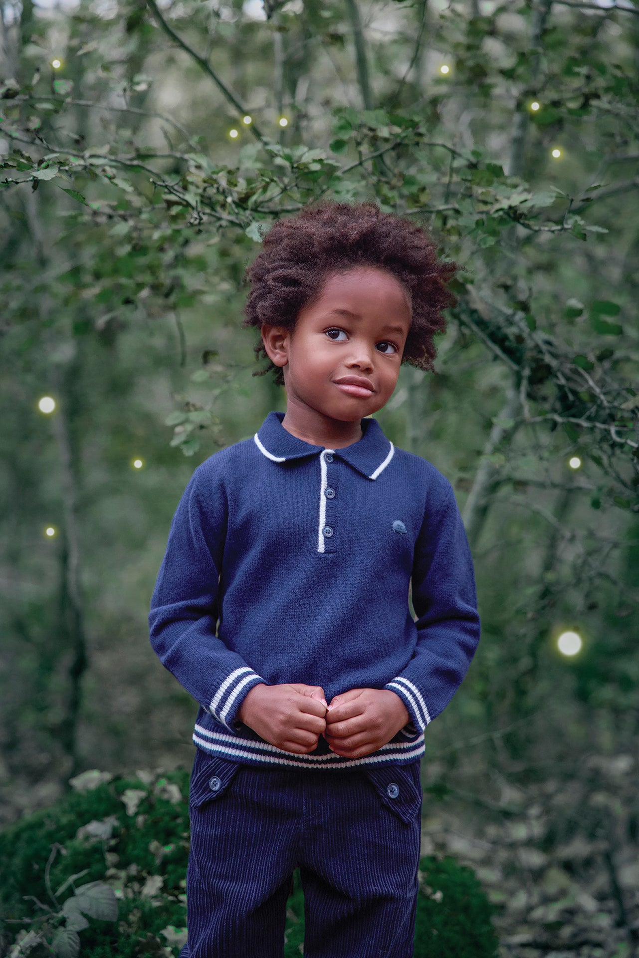 Pull - Marine col pointu