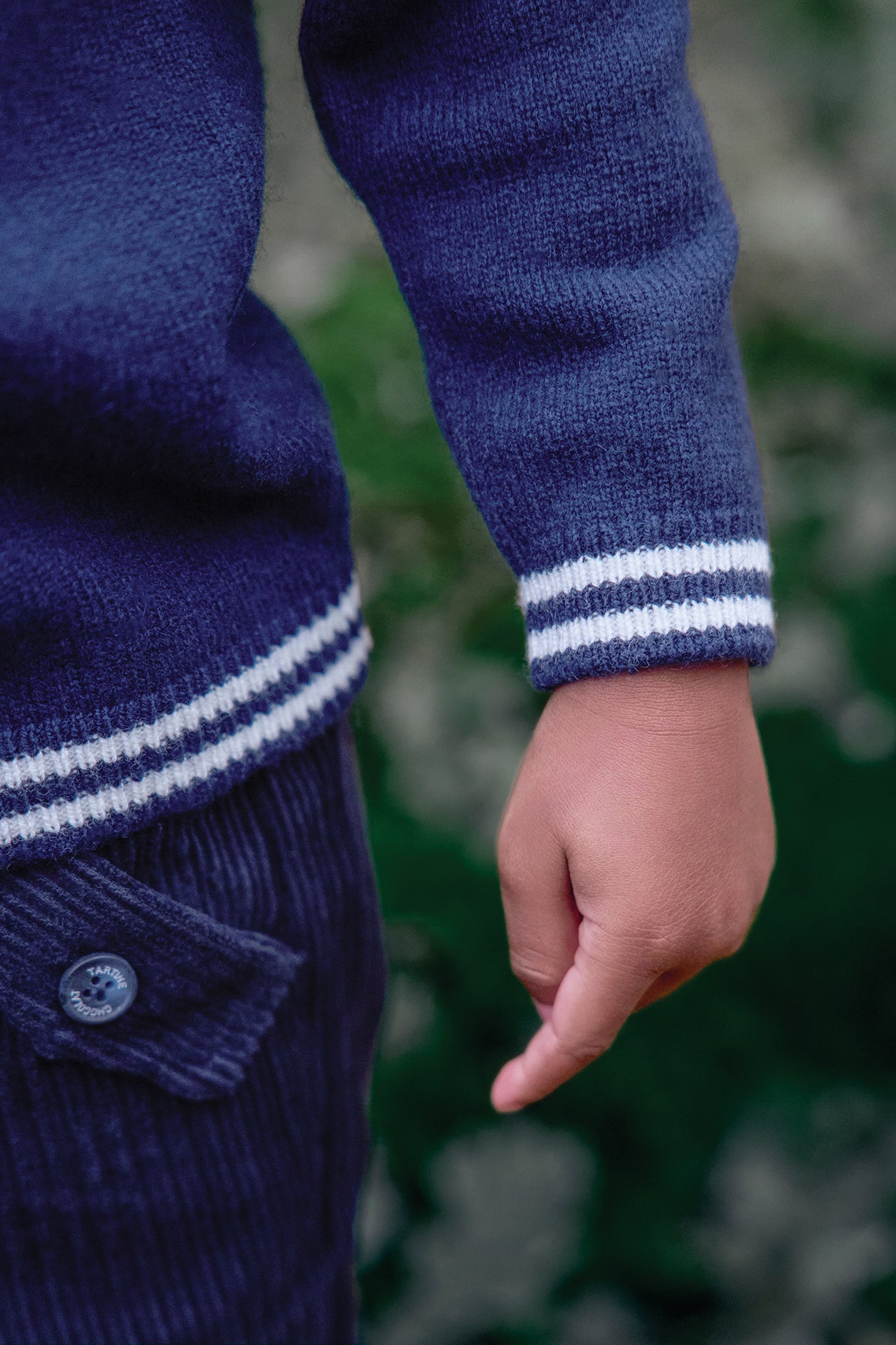 Pull - Marine col pointu