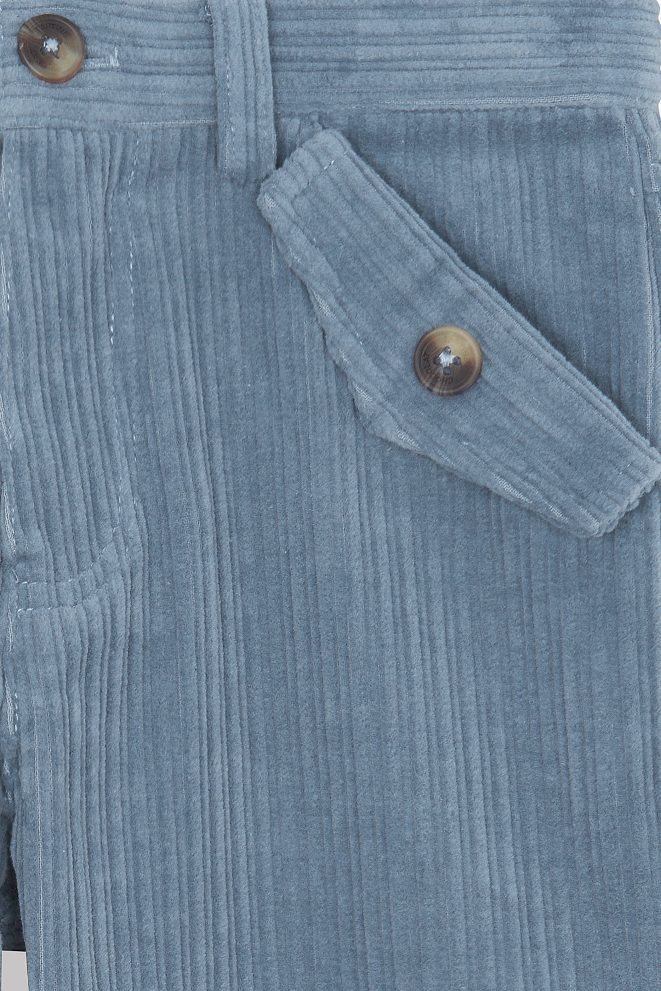 Hose - Blau Graué in Samt