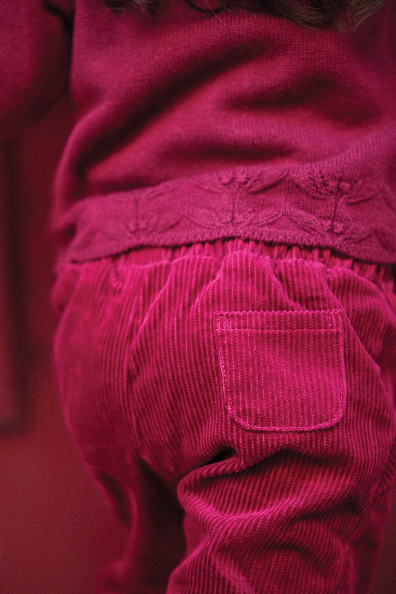 Pantalon - Prune velours nœud