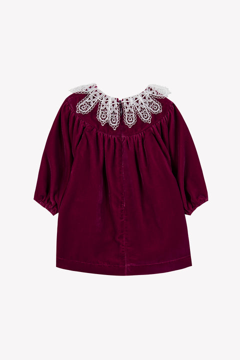 Robe - Prune en velours - Image principale