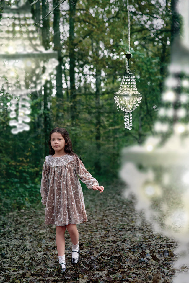 Robe - Bronze velours et tulle - Image principale