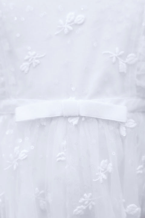 Robe - Ecru en voile brodé - Image principale