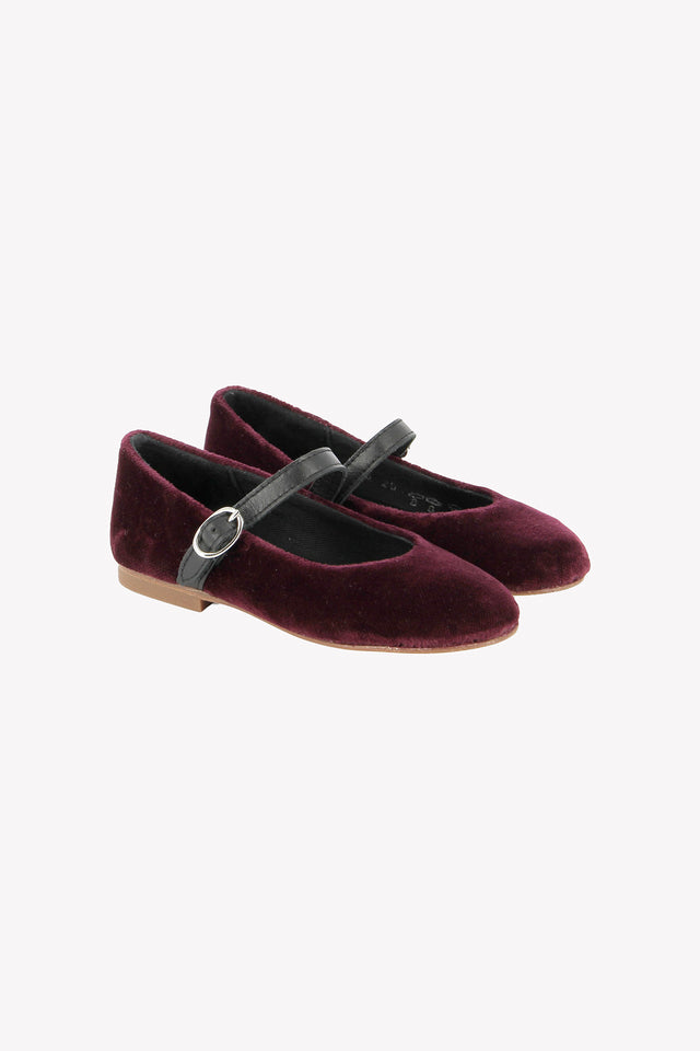 Ballerines - Aubergine Velvet - Image principale